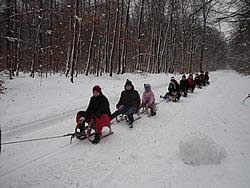 Schlittenfahrt
